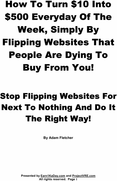 Product picture earn $500 a day flipping websites